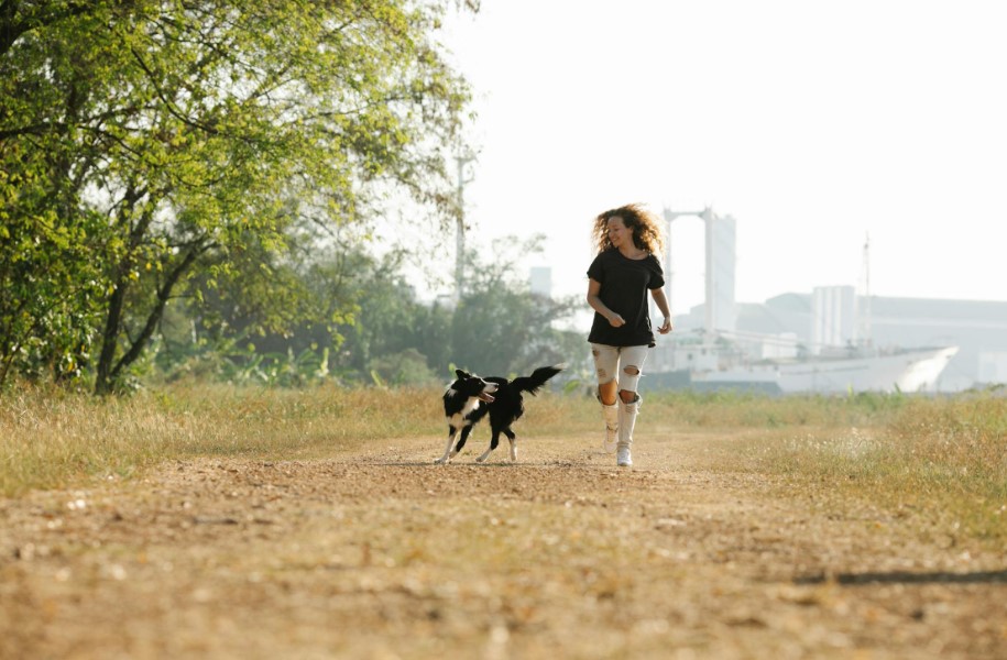 pet jogging beside condominium